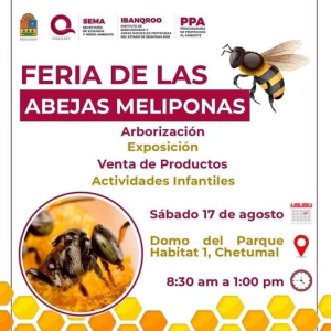 Gobierno del Estado realizará Feria de las Abejas Meliponas: SEMA