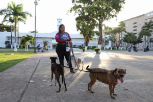 Con “Gran Caminata Canina” celebrarán el Día Mundial del Perro