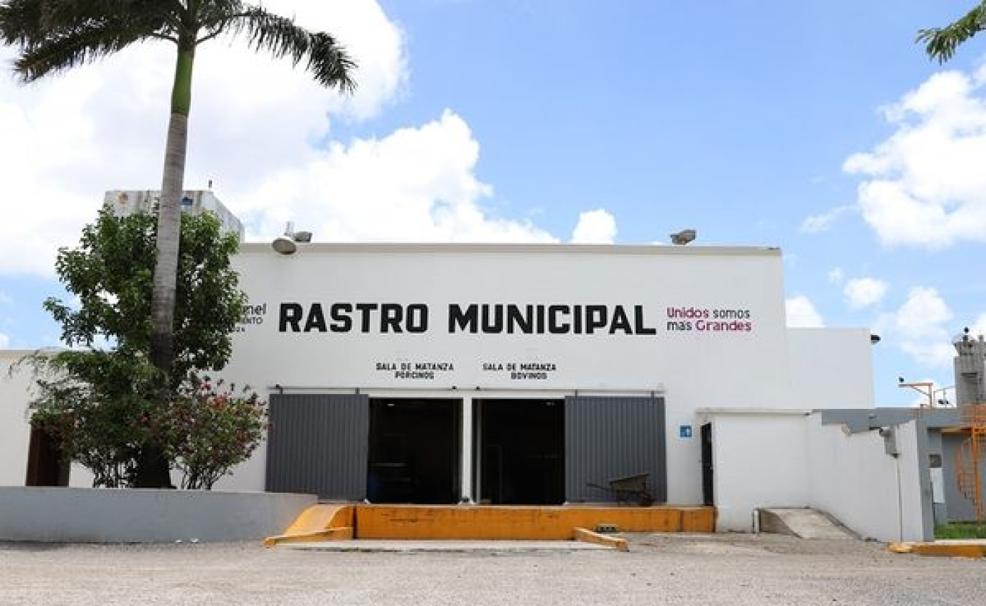 Rastro municipal mantiene buenas prácticas de higiene para salud de los cozumeleños