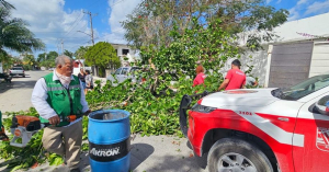 Atienden bomberos problemas causados por fuertes vientos en Puerto Morelos