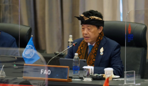 La FAO reclama paz para garantizar el acceso a los alimentos