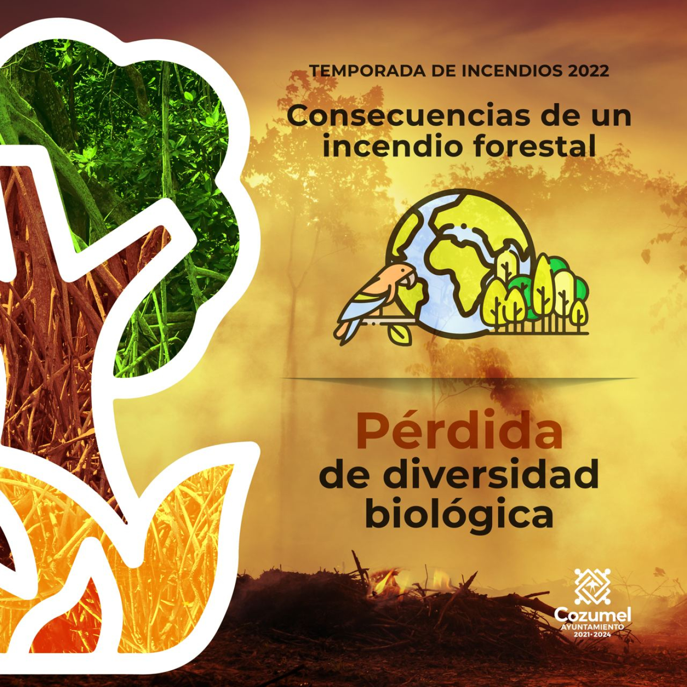 FPMC se prepara para el “XXX Congreso Internacional de las y los Niños por el Medio Ambiente”
