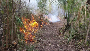 Incendios Forestales en Quintana Roo