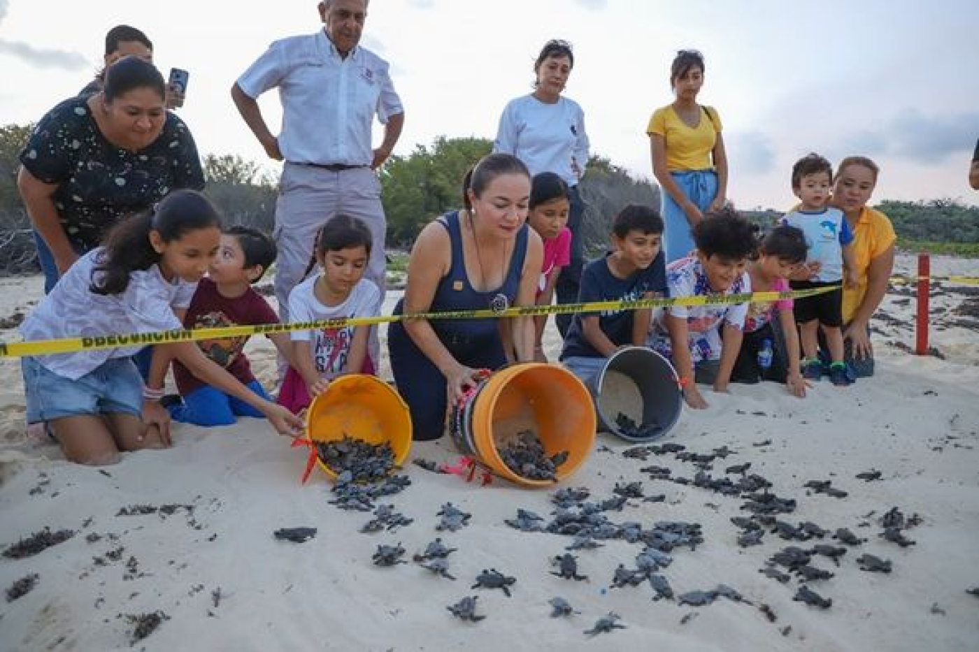 Juanita Alonso libera crías de tortugas marinas resguardadas del huracán “Beryl”