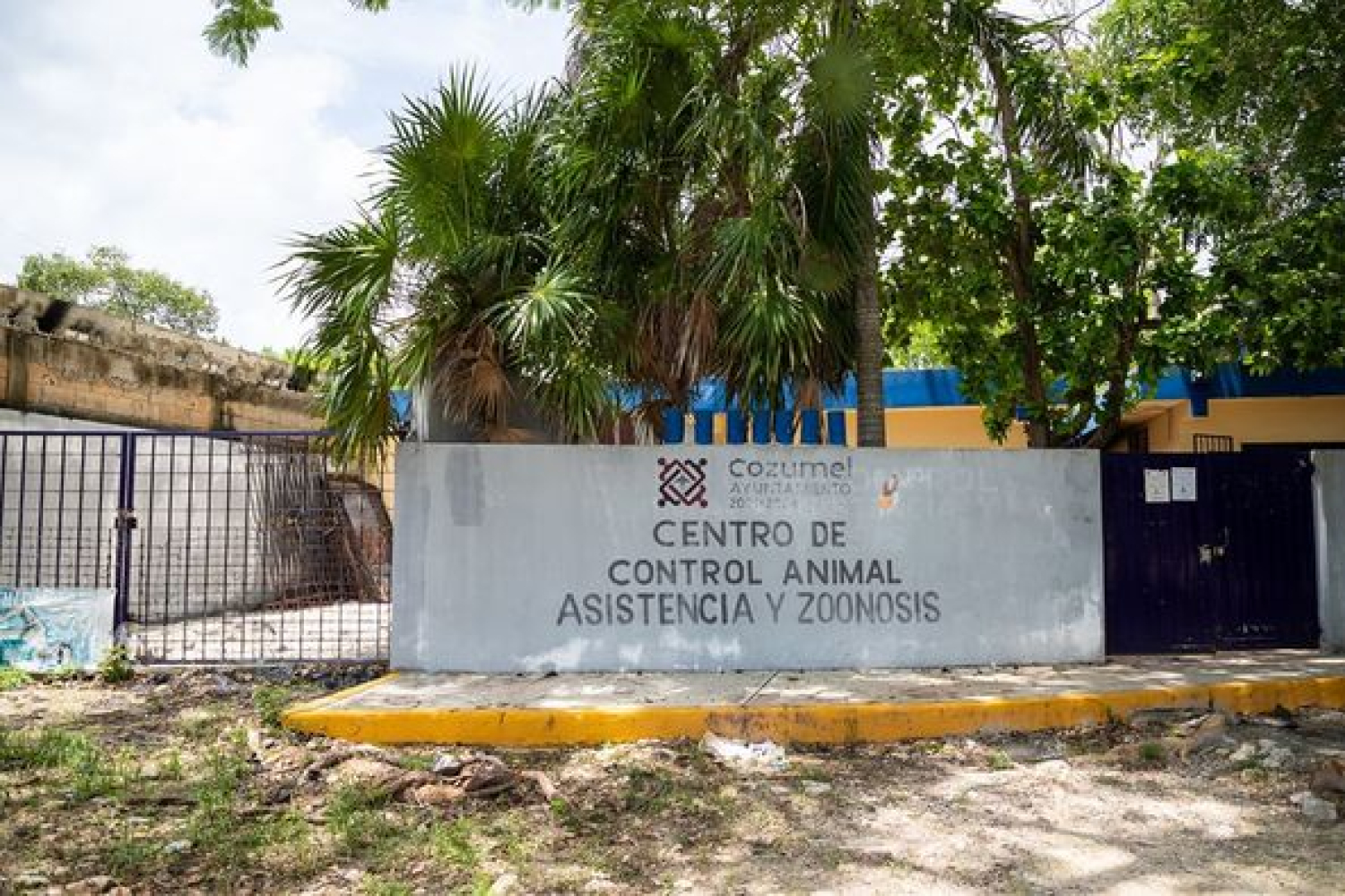 Juanita Alonso anuncia remodelación del CCA para dar una vida digna a las mascotas rescatadas
