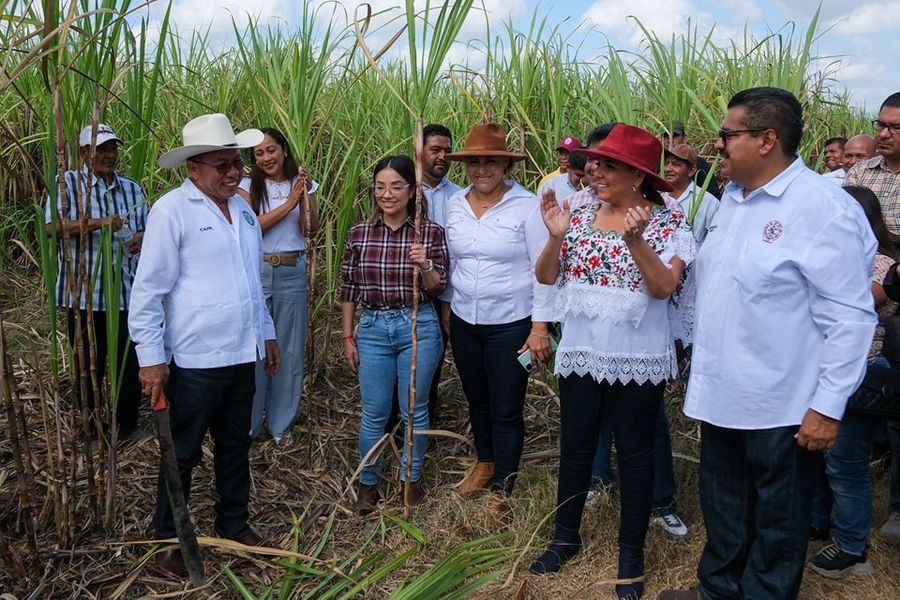 Dan machetazo tradicional para inicio de la zafra 2023-2024 en sur del estado