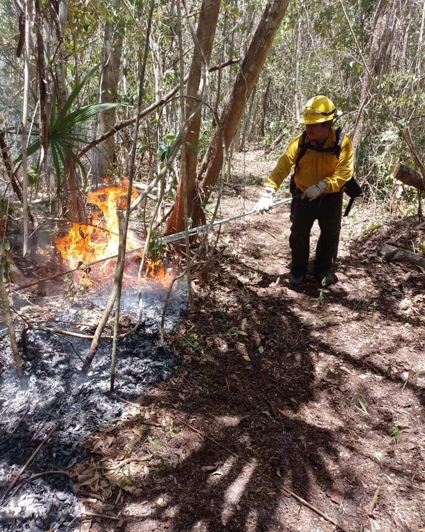 Trabajan en la contención del incendio forestal “Chunek II”