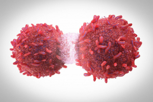 Descubren un ‘punto débil’ que hace vulnerables a tumores resistentes a muchos fármacos