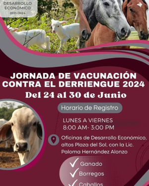 Gobierno de Cozumel inicia registro para la Jornada de Vacunación contra el Derriengue 2024