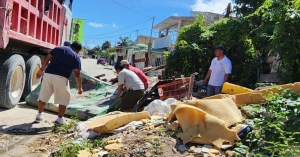 En Puerto Morelos combaten al dengue en unión de esfuerzos