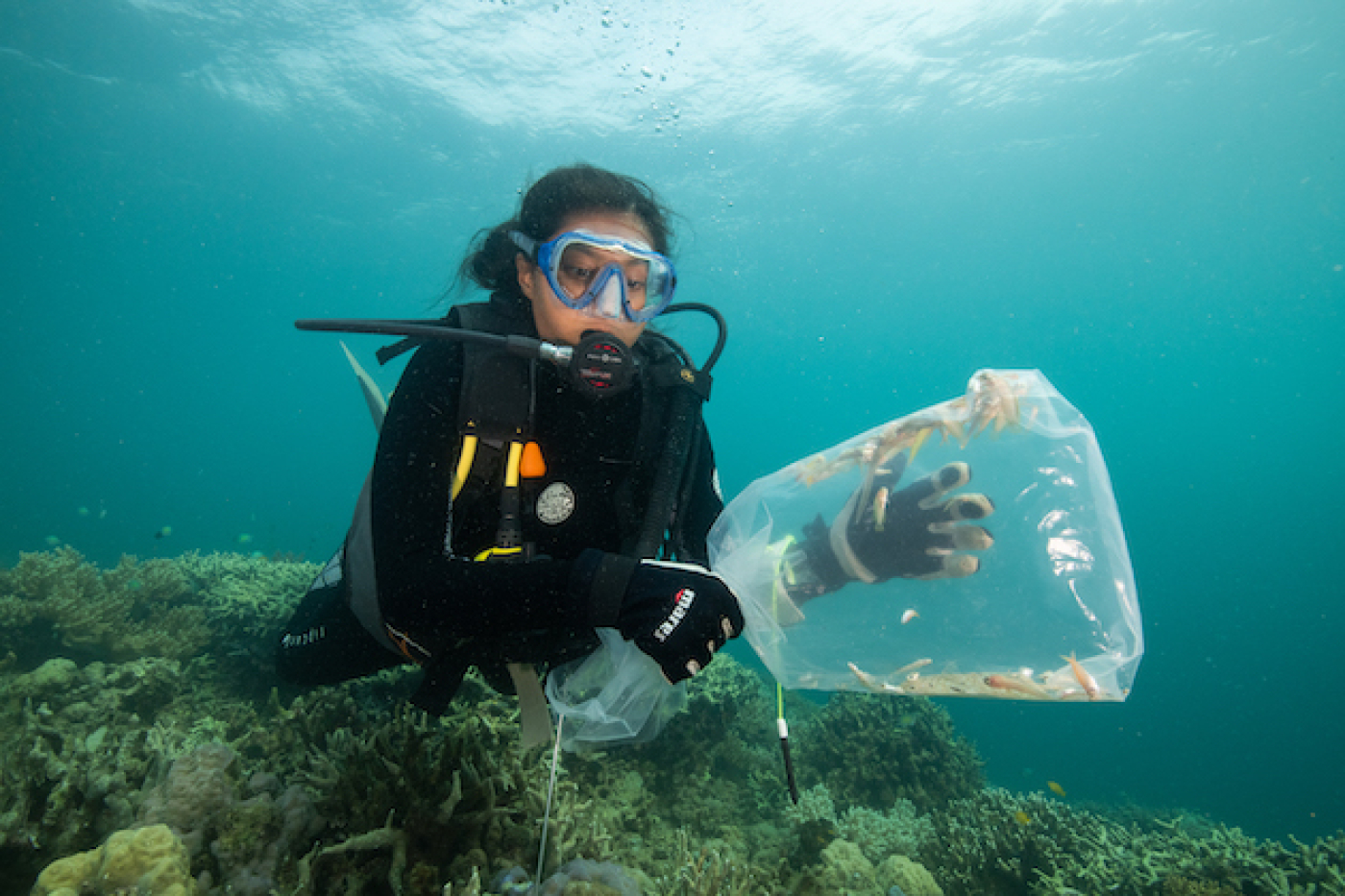 Nueva investigación avanza en comprensión del calentamiento global y los océanos