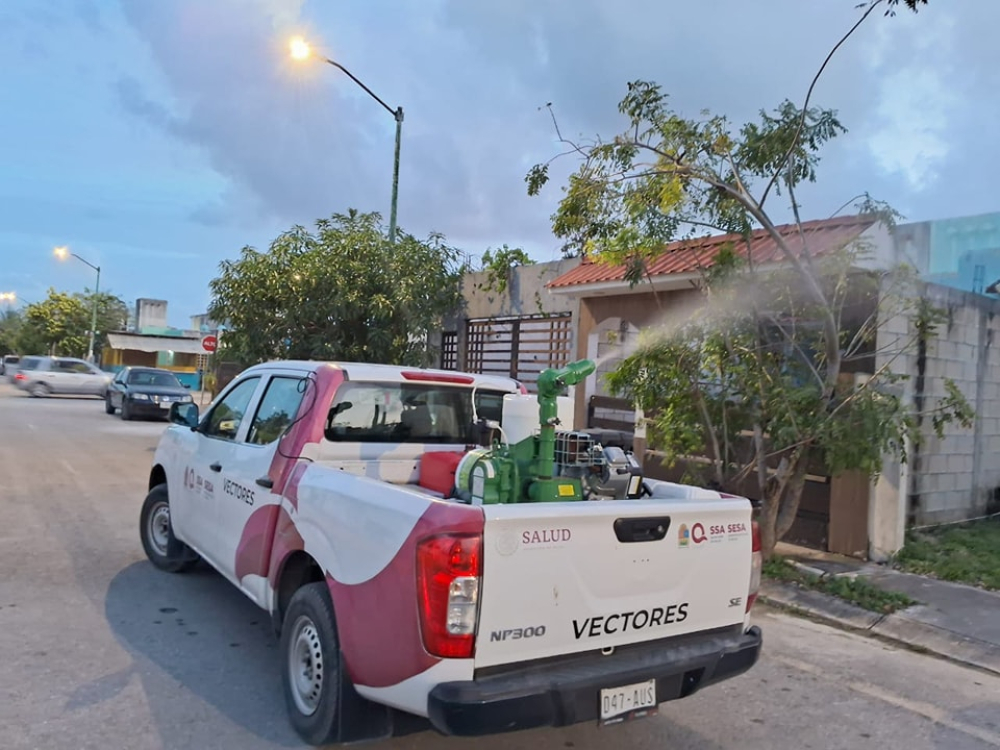 Combate sin tregua contra el dengue en Quintana Roo