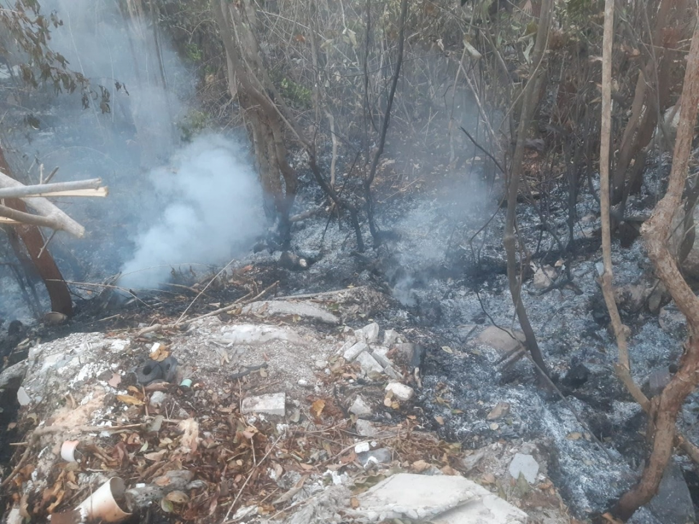 Controlan tres incendios forestales en la comunidad de Leona Vicario