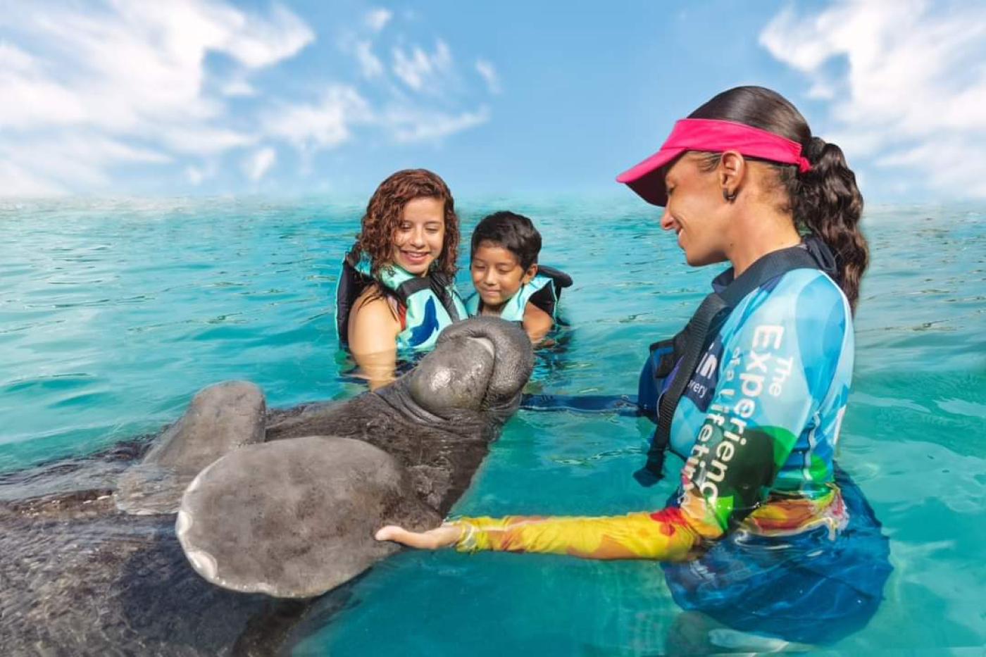 Dolphin Discovery recibe acreditación de la Asociación de Zoológicos y Acuarios