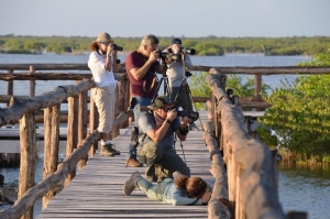 La Fundación de Parques y Museos se suma al XVI Festival de las Aves Isla Cozumel