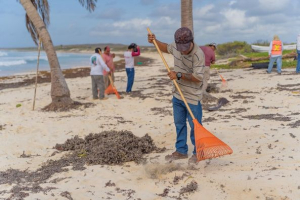 Dependencias municipales unen esfuerzos para limpiar playa del lado oriente de la isla
