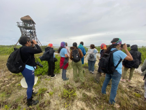 Celebran 16 años del Festival de las Aves Isla Cozumel