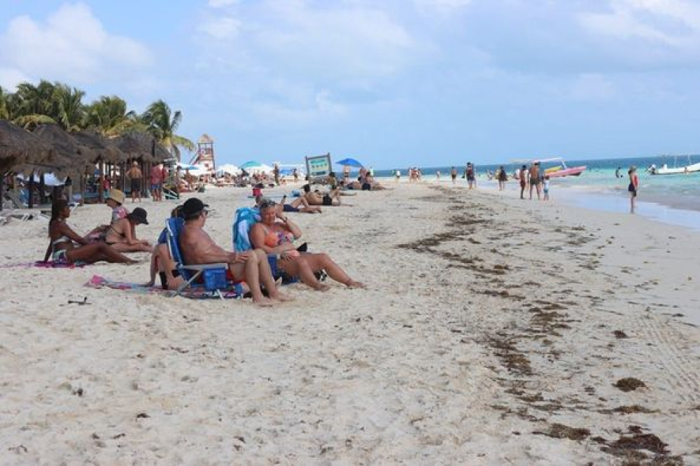 Bajo recale de sargazo en Puerto Morelos