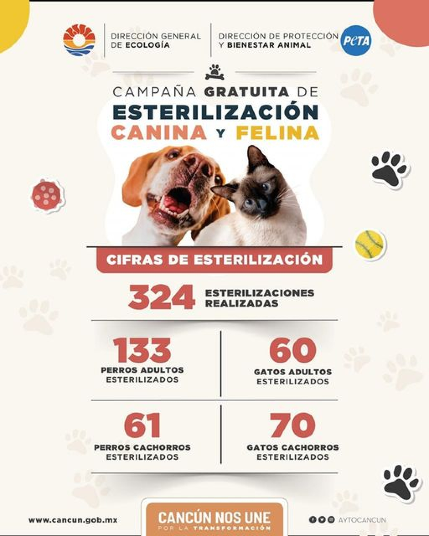 Impulsa Ana Paty Peralta exitosa campaña de esterilización