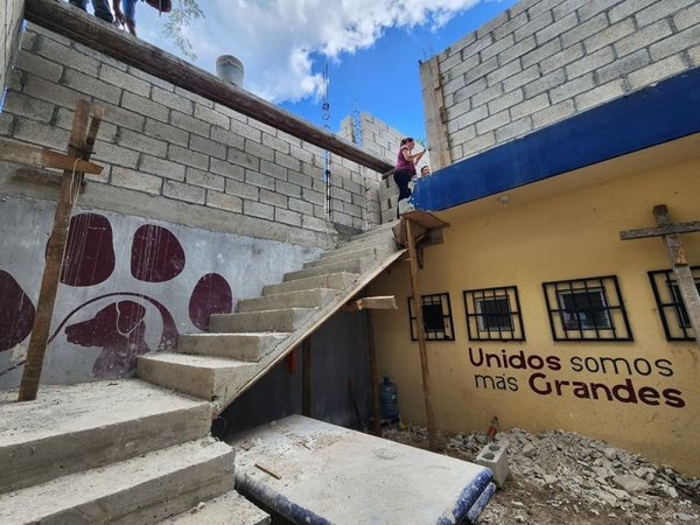 Juanita Alonso garantiza bienestar a las mascotas de Cozumel con obra de remodelación del CCA