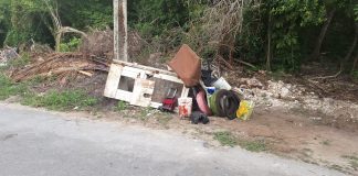 Partido Verde realiza limpieza de cenote en la colonia Maravilla